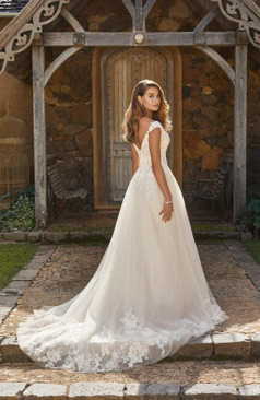 Ein wunderschönes A- Linien Brautkleid aus Tüll und Glitzertüll.