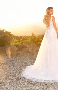 Ein romantisches A-Linien Brautkleid mit einem schönen V-Ausschnitt